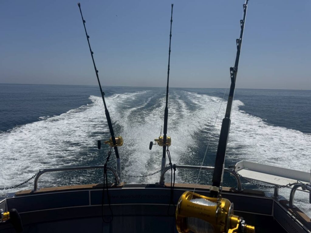 Opportunity Charters Charlie Boy heads out at speed for another successful day catching Bluefin Tuna