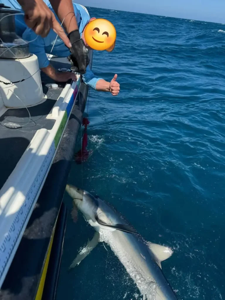 Opportunity Charters Shark Fishing in Plymouth Devon South West England