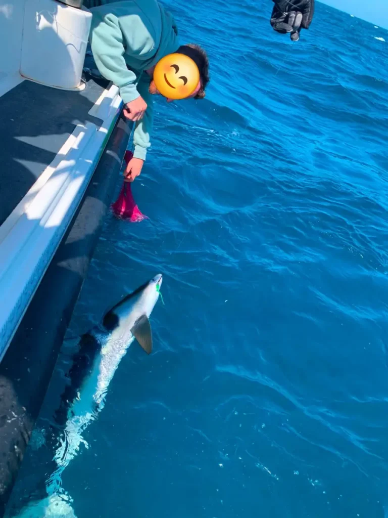 Best Shark Fishing in Devon