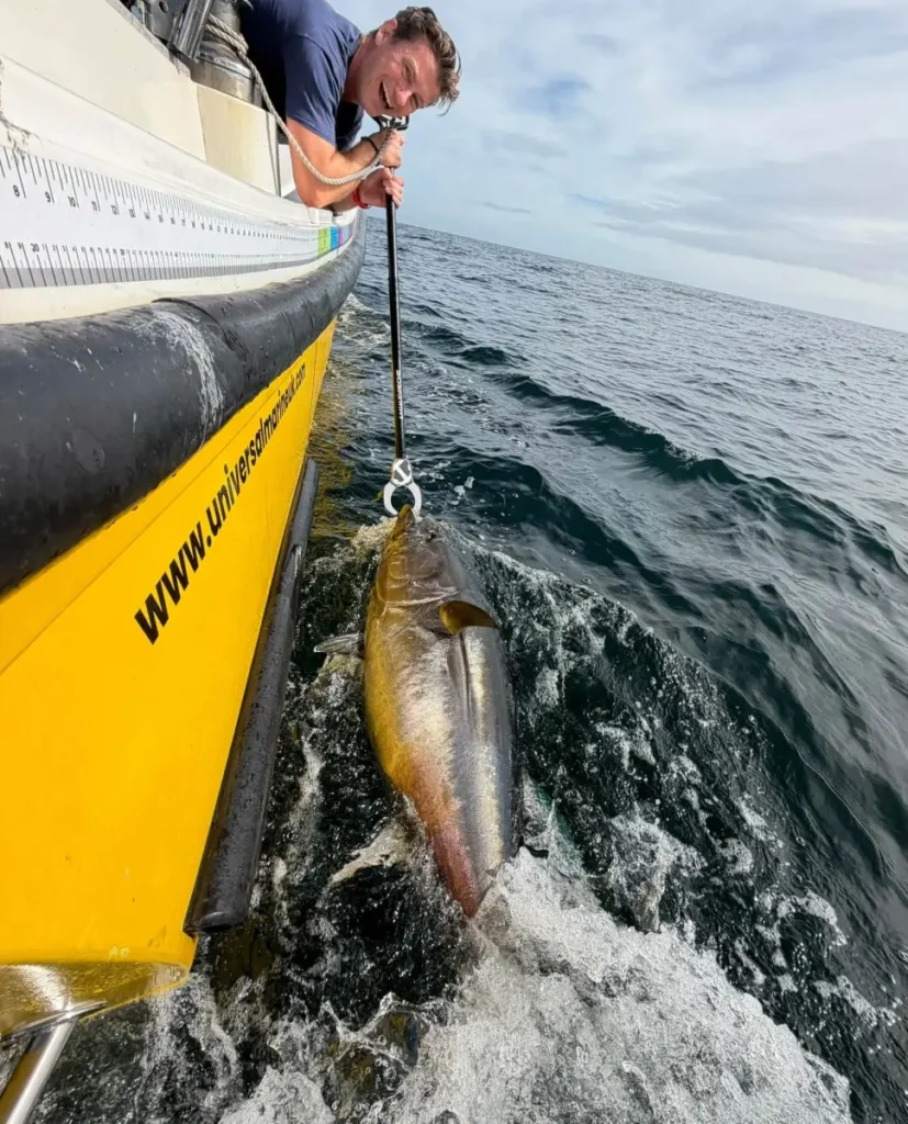 Best Tuna Fishing Charter with Opportunity Charters, September 2026 catch Plymouth Devon 2