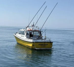Catch Bluefin Tuna Fishing from Opportunity Charters Charlie Boy at sea catching Bluefin Tuna at sea off Plymouth