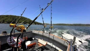 Opportunity Charters Charlie Boy during a successful day fishing and catching Bluefin Tuna