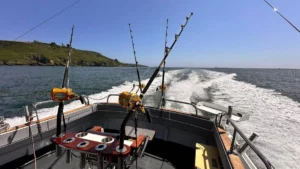 Opportunity Charters Charlie Boy returns after a successful day fishing and catching Bluefin Tuna